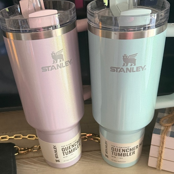 Stanley Quencher Tumblers in Soft Pink and Light Green